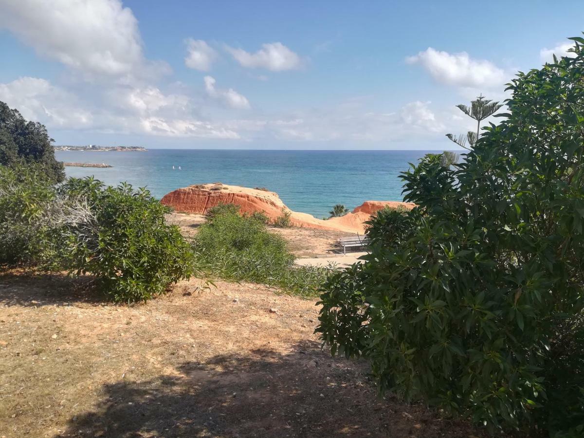 Cabo Roig Bellavista III Apartment Bagian luar foto